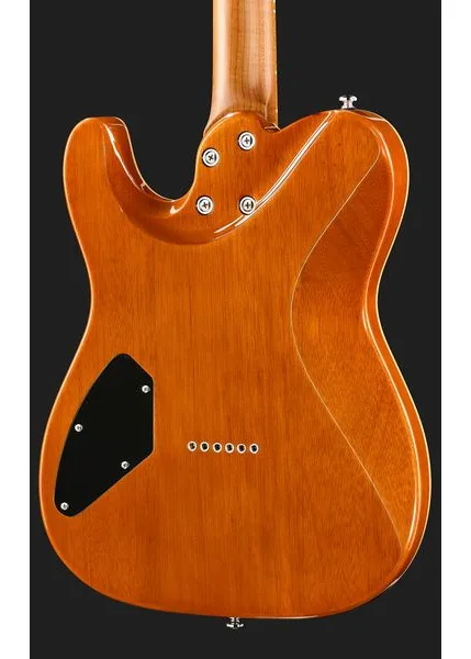 Harley Benton Fusion-T II HH MN HT QBKB, yksityiskohta 5
