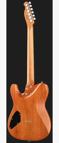 Harley Benton Fusion-T II HH MN HT SGR, yksityiskohta 3