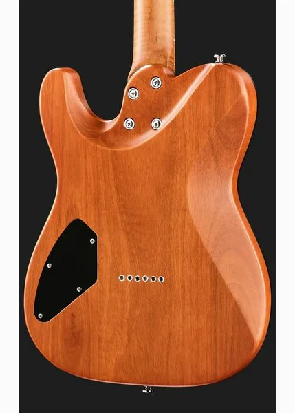 Harley Benton Fusion-T II HH MN HT SGR, yksityiskohta 5