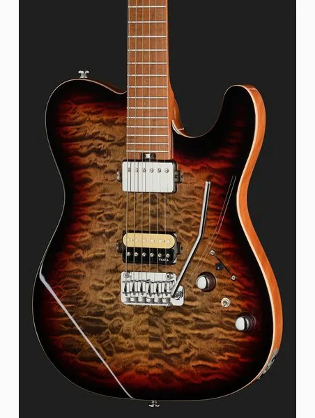 Harley Benton Fusion-T II HH MN QDG, yksityiskohta 4