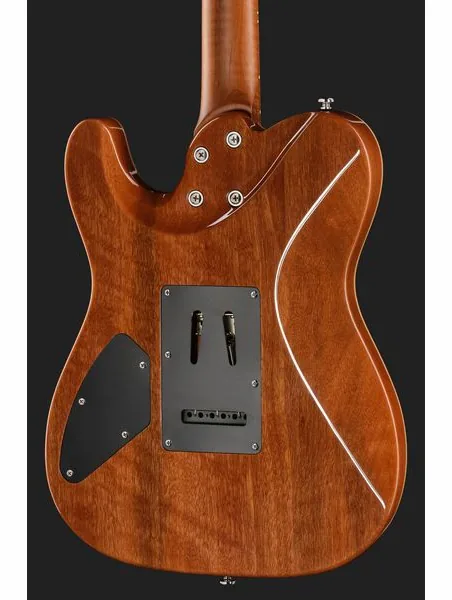 Harley Benton Fusion-T II HH MN QDG, yksityiskohta 5