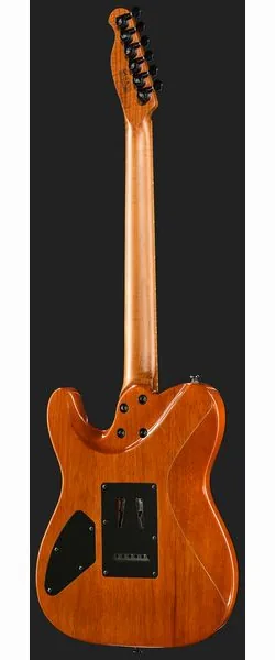 Harley Benton Fusion-T II HH MN WM, yksityiskohta 3