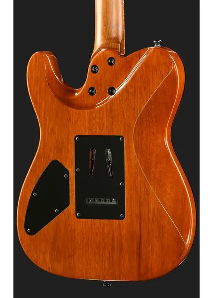 Harley Benton Fusion-T II HH MN WM, yksityiskohta 5