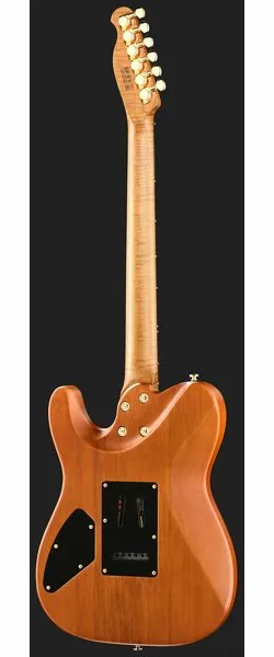 Harley Benton Fusion-T II HH RW SGD, yksityiskohta 3