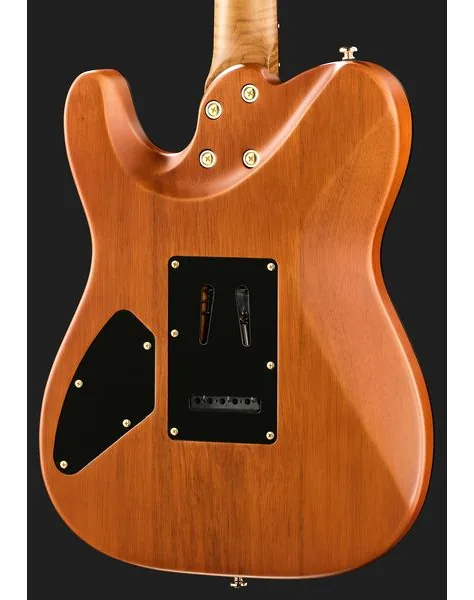 Harley Benton Fusion-T II HH RW SGD, yksityiskohta 5