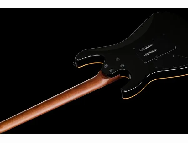 Harley Benton Guitar MAX Fusion HO w/Case, yksityiskohta 4
