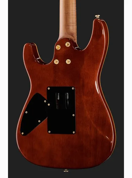 Harley Benton Guitar MAX Fusion Signature EF, yksityiskohta 5