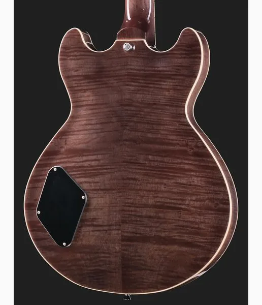 Harley Benton HB-35Plus Rotary TBK, yksityiskohta 5