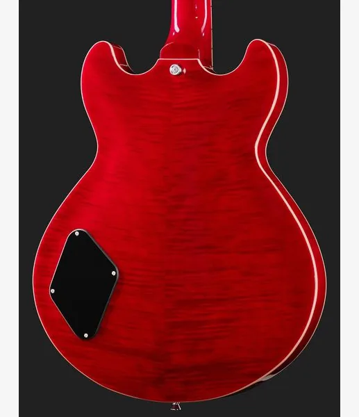 Harley Benton HB-35Plus Rotary TCH, yksityiskohta 5