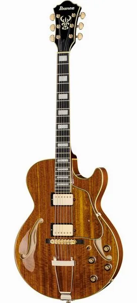 Ibanez AG95K-NT edestä