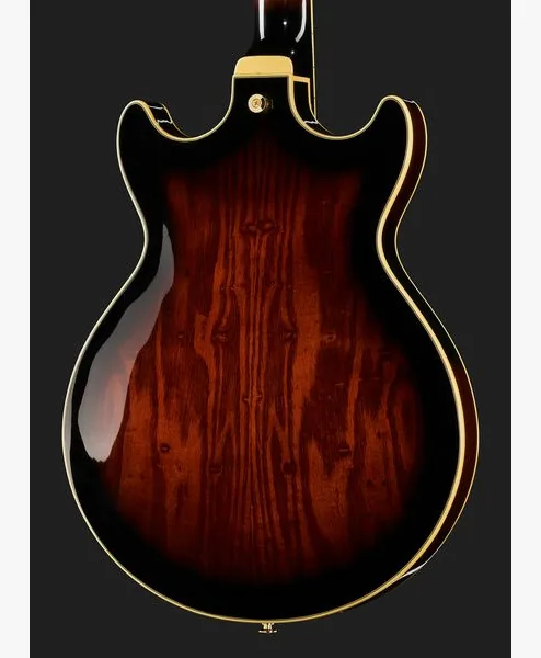 Ibanez AM153QA-DBS, yksityiskohta 5