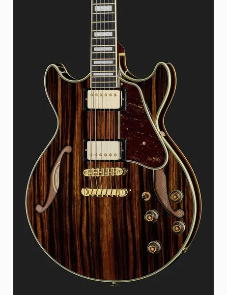 Ibanez AM93ME-NT, yksityiskohta 4