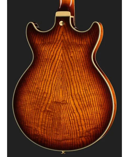 Ibanez AM93QA-VVH, yksityiskohta 5