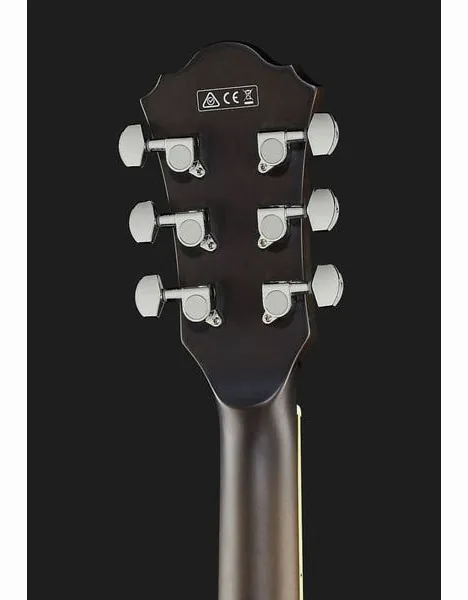 Ibanez AS53-TKF Artcore, yksityiskohta 5
