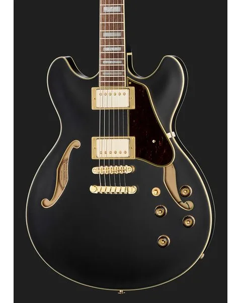 Ibanez AS73 G BKF, yksityiskohta 4