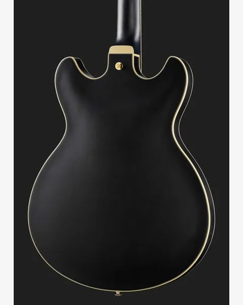Ibanez AS73 G BKF, yksityiskohta 5