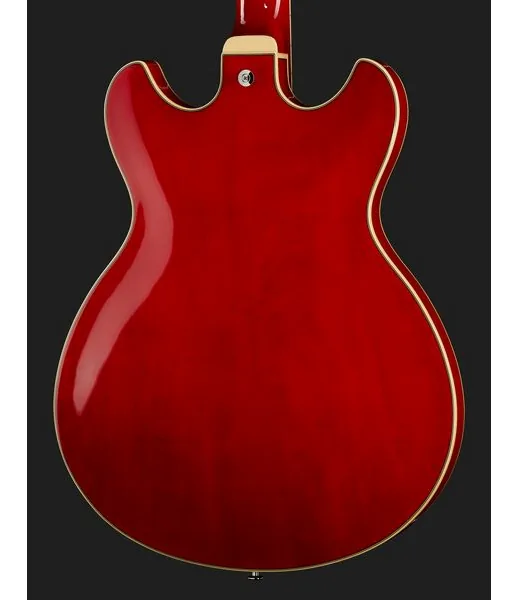 Ibanez AS73-TCD, yksityiskohta 5