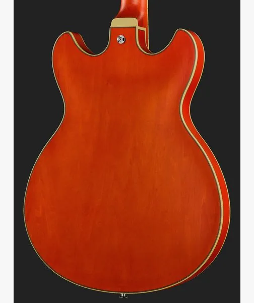 Ibanez AS73-TTF, yksityiskohta 5