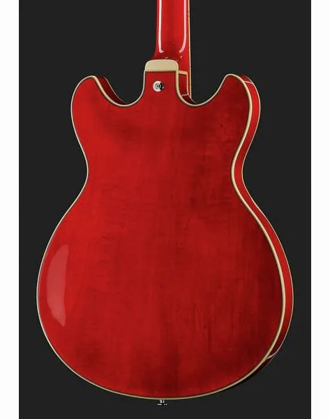 Ibanez AS7312-TCD, yksityiskohta 5