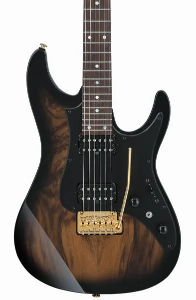 Ibanez AZ41P1EW-NGT, yksityiskohta 4