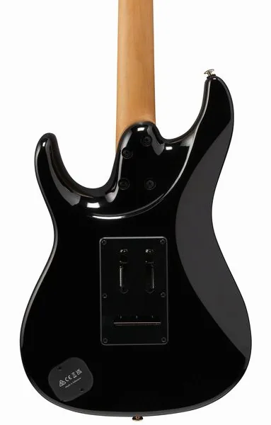 Ibanez AZ41P1EW-NGT, yksityiskohta 5