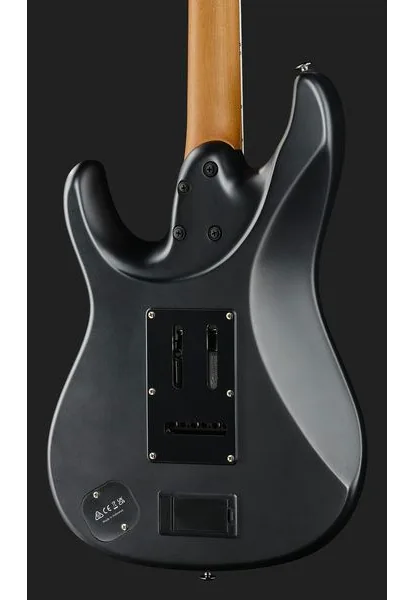 Ibanez BER10 Bernth Signature BK, yksityiskohta 5