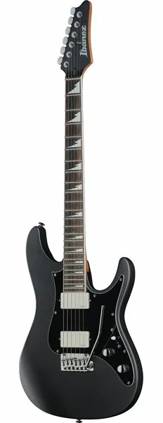 Ibanez BER10 Bernth Signature BK edestä