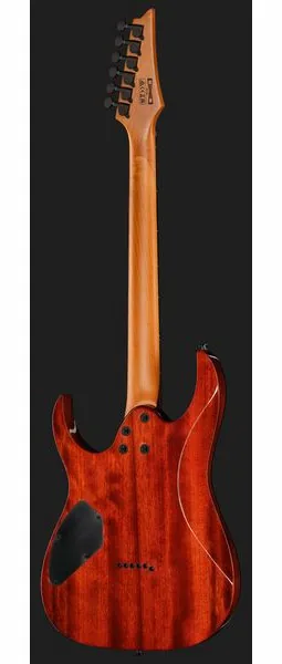 Ibanez GRGR221FA-TDK, yksityiskohta 3