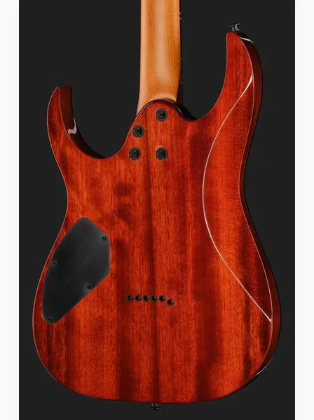 Ibanez GRGR221FA-TDK, yksityiskohta 5