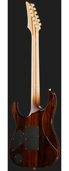 Ibanez IV1RG Visions RG, yksityiskohta 3