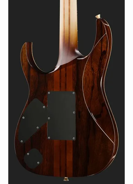 Ibanez IV1RG Visions RG, yksityiskohta 5