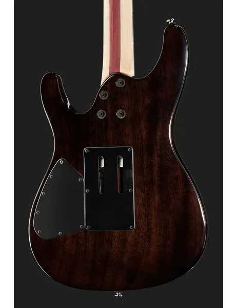 Ibanez JIVA 10-DSB, yksityiskohta 5