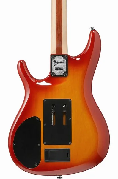 Ibanez JS2470-CS Joe Satriani, yksityiskohta 5