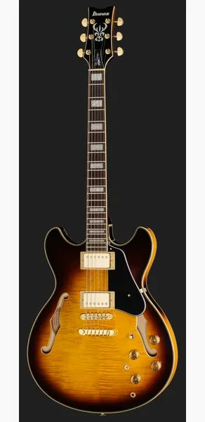 Ibanez JSM10EM-TTB John Scofield, yksityiskohta 2