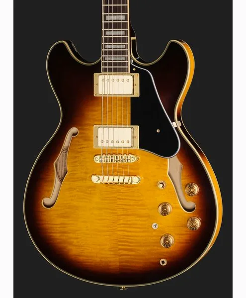 Ibanez JSM10EM-TTB John Scofield, yksityiskohta 4