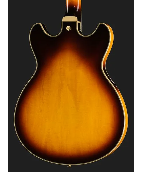 Ibanez JSM10EM-TTB John Scofield, yksityiskohta 5