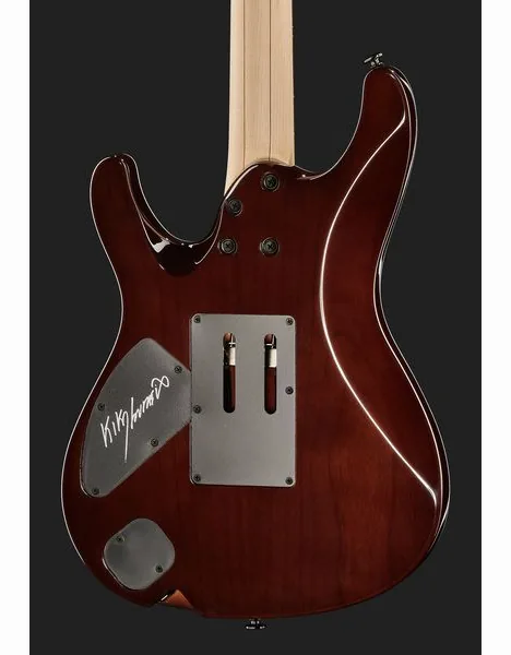 Ibanez KIKO100-TRR, yksityiskohta 5