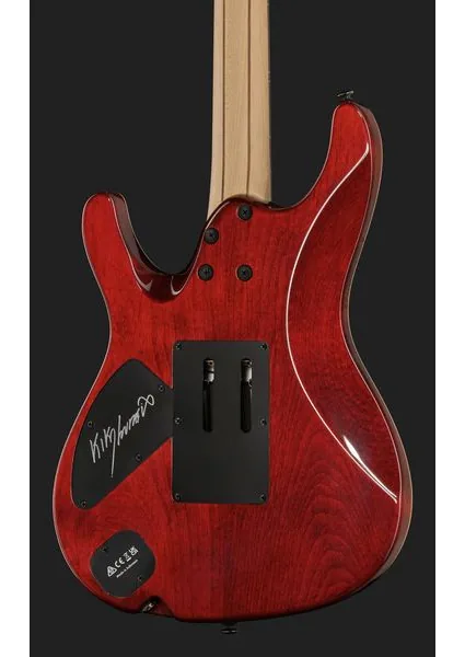 Ibanez KIKO10BP, yksityiskohta 5