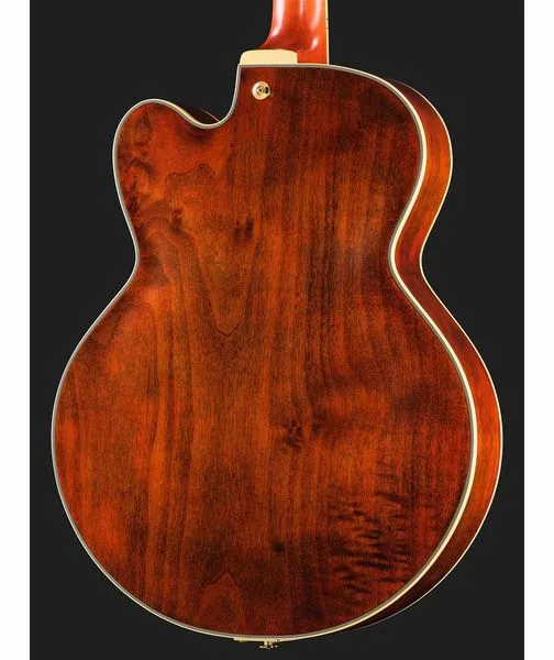 Ibanez PM3C-NAL Pat Metheny, yksityiskohta 5