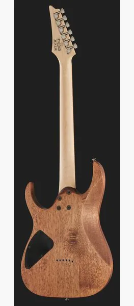 Ibanez RG421-MOL, yksityiskohta 3