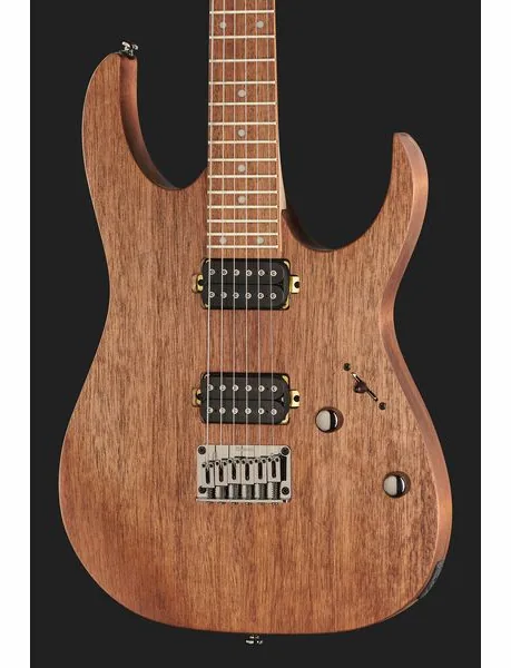 Ibanez RG421-MOL, yksityiskohta 4
