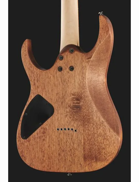 Ibanez RG421-MOL, yksityiskohta 5