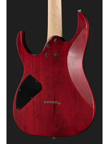 Ibanez RG421PB-CHF, yksityiskohta 5