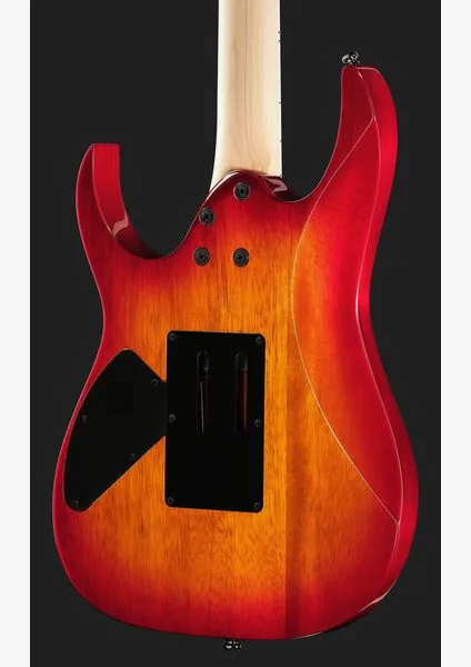Ibanez RG470DXFM-CS, yksityiskohta 5
