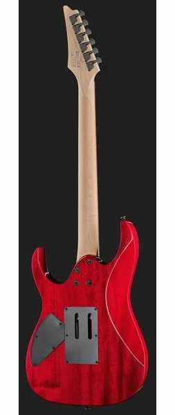 Ibanez RG470PB REB, yksityiskohta 3