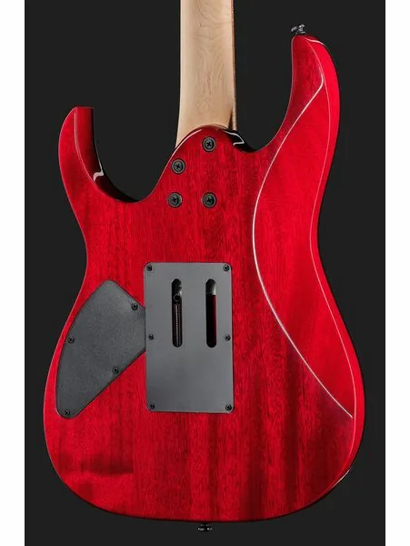 Ibanez RG470PB REB, yksityiskohta 5