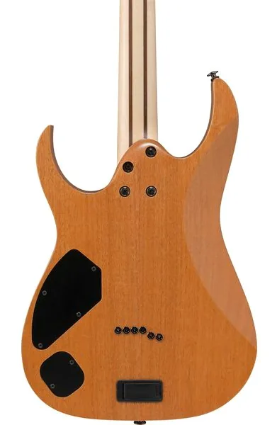Ibanez RG5121R-DBF, yksityiskohta 5