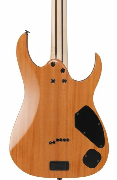Ibanez RG5121RL-DBF, yksityiskohta 5