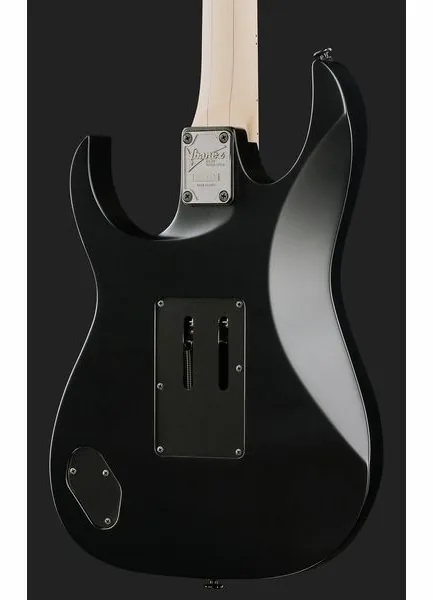 Ibanez RG550-BKF, yksityiskohta 5