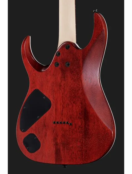 Ibanez RGA42FM-TGF, yksityiskohta 5
